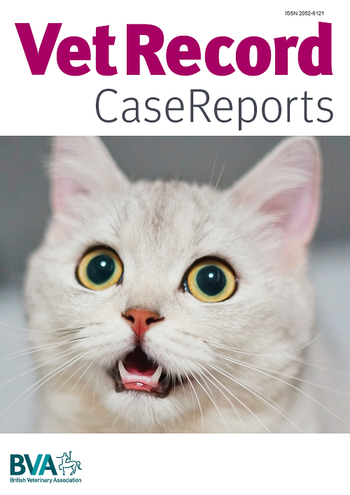Vet Record Case Reports