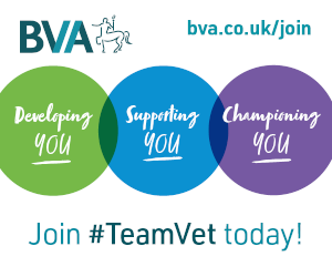 Join BVA
